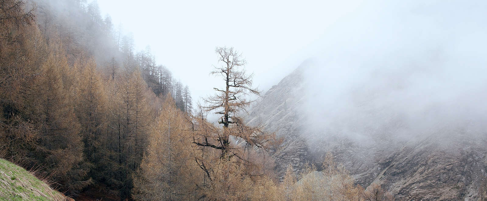 快速部署的手机号压测工具